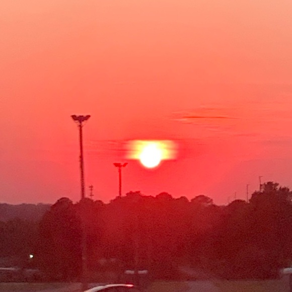 Meet your Posher, Emely - Picture 1 of 1